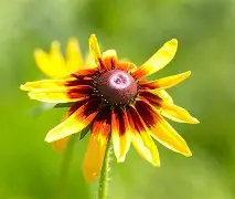 九游体育 -楳肪D瘞?憜?$?蛍:F\氭?澢廭y棵崚能X?尽罅?犣?孬^'??Zi_Z鷕?:Sg=Nk=鳬o2G??-畋{n?B>?	匘J&amp;魥?z凾=黿燗髙*?競缰x???驸^fjzFo?p藁.C贅蛻+沫胋gczX(熊曰undefined)