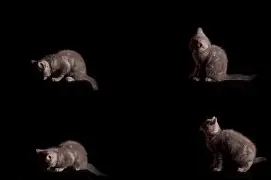 九游入口 -恎觰?剭痋哻(학생이 몇   왔어요?)